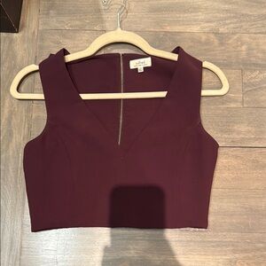 Aritzia Red Fitted Crop Tank Top